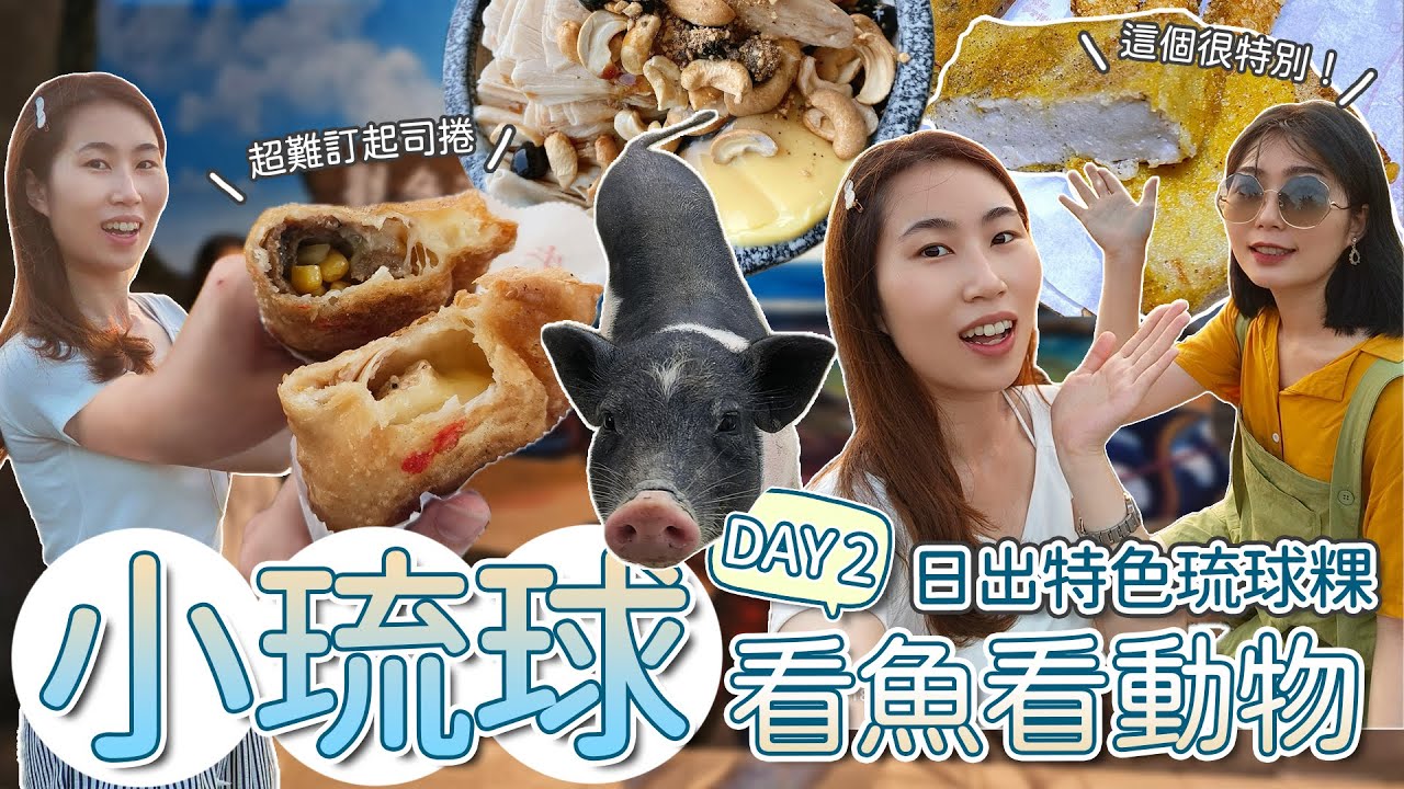 早起就為了日出以及這一口！小琉球限定 超特殊「琉球粿」與一塊難求爆漿起司捲！生態豐富海洋館不僅物種奇特還能近距離觀看動物，但卻讓人驚見......｜紀錄2.54