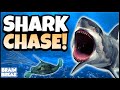 Shark Chase - Underwater Adventure