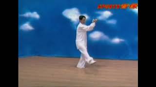Xing Yi Quan 12 Animals Tutorial Eagle