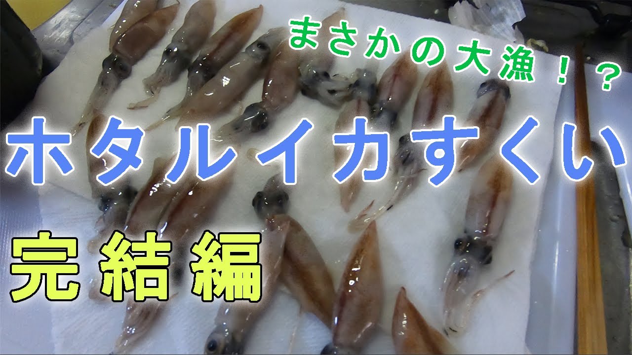 車中泊 ホタルイカを訪ねて280km 富山で初めてのホタルイカすくいをやってみたらめちゃくちゃ面白かった 完結編 車中泊 キャンプ応援サイト