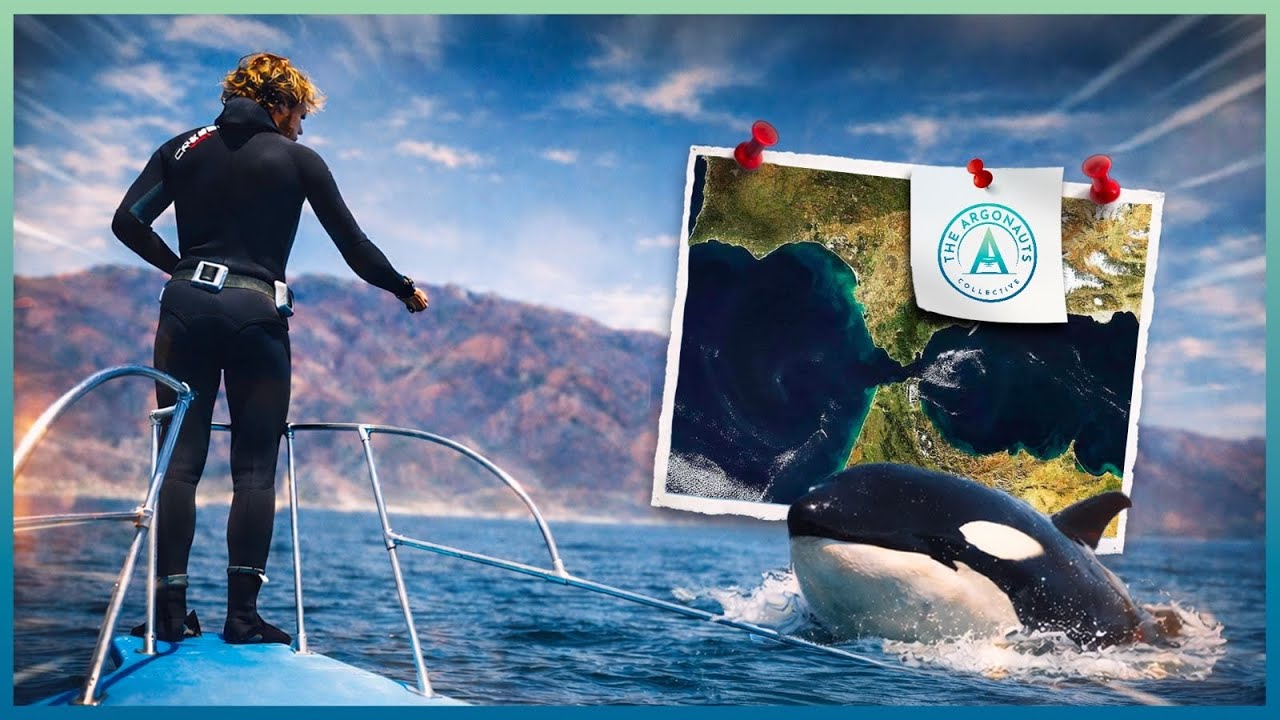 La réalité derrière les orques de Gibraltar (Avec Olivier Adam)