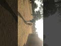 Nyanda Ng Wana Minza Video Show Kali Sana Alikuwa Majengo Nyumbani Kwao 