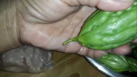 cá thác lác  cá măng cá nàng hai  cá nào ngon  đê