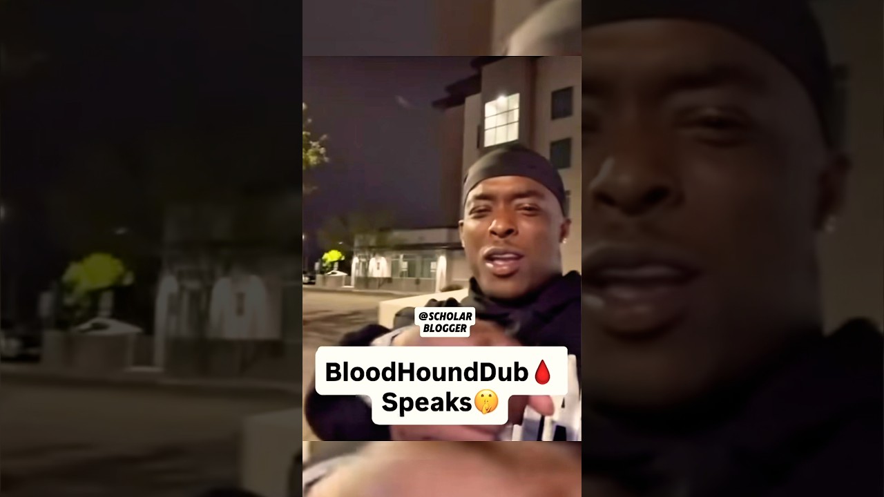 Bloodhound Dub Sends A Message To Reggie And Clover Boys 😂 