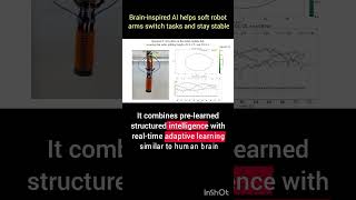 Brain-Inspired Al for SmarterSoftRobots#tech#soft robotics#ai#robotics#engineering