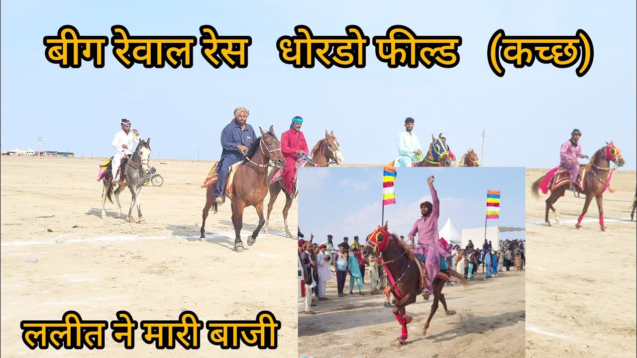 ललीत ने मारी बाजी बीग रेवाल रेस  वाहीट रण कच्छ धोरडो फील्ड BIG REWAL CHAL @horseofkutchgujarat9416