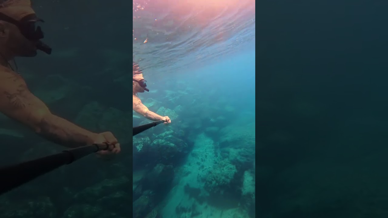 This is what the Atlantic Ocean looks like underwater!