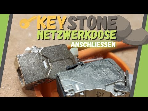 Keystone Netzwerkdose ▶ DAS musst Du beim Anschließen beachten!