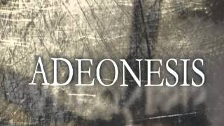 Adeonesis - Lost Illusions