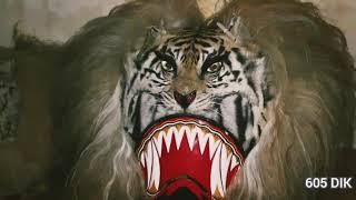 History wa reog angker