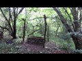 compost toilet in the woods.