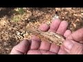 Beginning of video