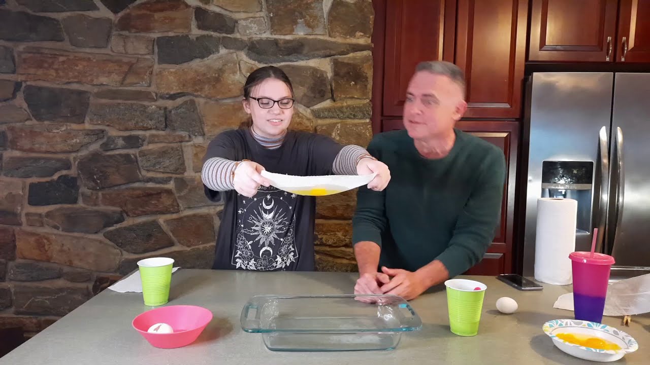 Testing paper towels for quality and price