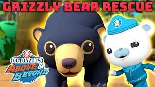 Octonauts: Above & Beyond   Operation Grizzly Bear Rescue ⛑ | Compilation | @OctonautsandFriends​