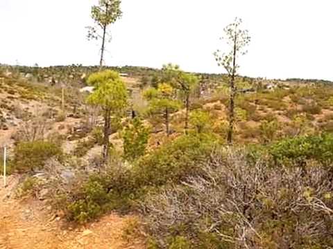 6288 Bull Elk Run, Show Low, AZ home video tour