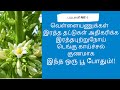 பப்பாளிப்பூ - இந்திய மலர் மருத்துவம்  Pappali ilai payangal kashayam | Papaya leaf kashayam in tamil