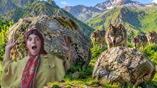 🐺😱 A Terrifying Moment: Wild Wolves Attack a Family in the Mountains! 🏔️