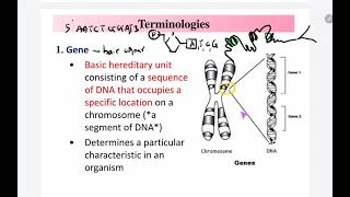 4.1 (a) Genetic Inheritance: Terminologies in genetic inheritance