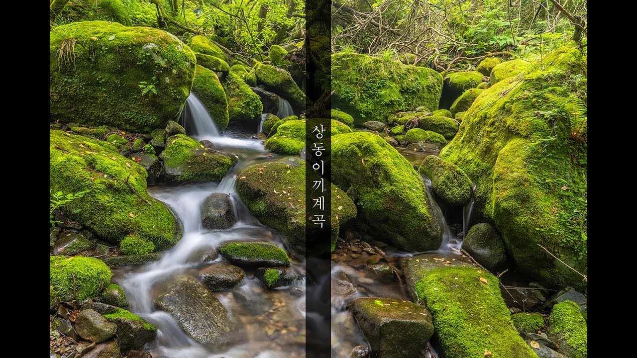 강원도 영월 상동 이끼계곡 20250703 현장 무보정 4K 영상 샘플