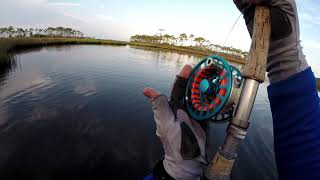 Wade Fly Fishing Part 3: Sight Casting a Tailing Redfish Ep42