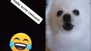 Нет слов 😂🤣
