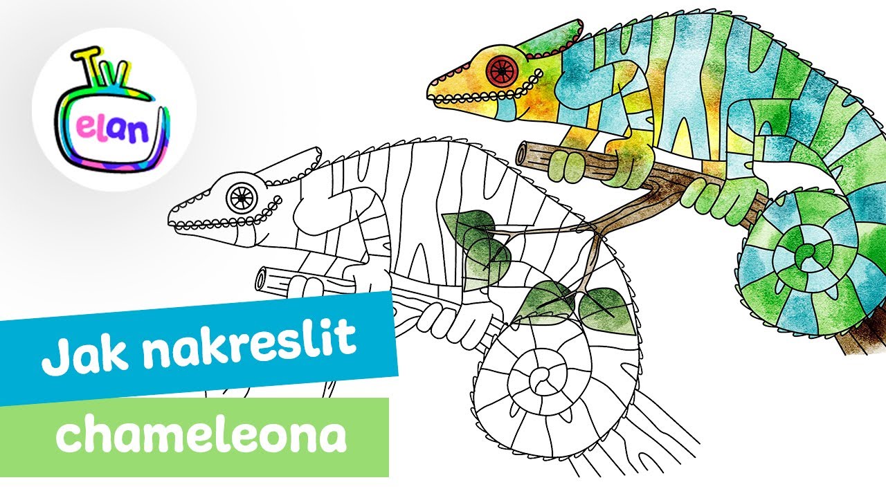 Jak uklidnit chameleona?