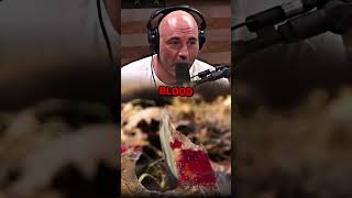 The Most SAVAGE Pitbull VS Coyotes Story | Joe Rogan Experience Podcast shorts