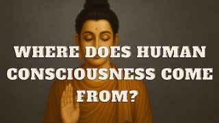 Where does human consciousness come from? The brain or karmic force?