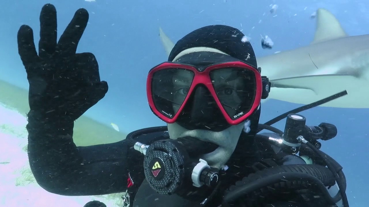 Close Encounters with Big Sea Creatures