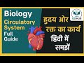 5. Biology Circulatory System Full Guide 🫀  हृदय और रक्त का कार्य हिंदी में समझें #biology #thegshub