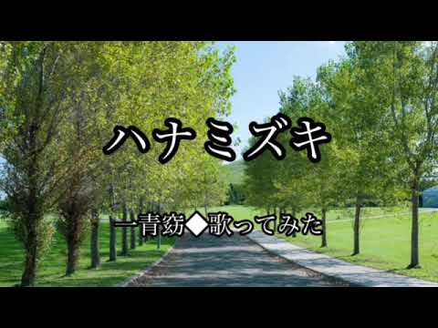 ハナミズキ/一青窈/歌ってみた