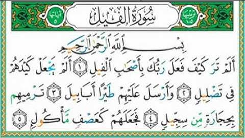 سورة الفيل مكررة 7 مرات ماهر المعيقلي  Mahemed Almaikulai   surat al240P