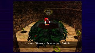 The Melancholy of the Monkey Destruction Switch