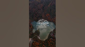 فاذكروني أذكركم و اشكروا لي و لا تكفرون من سورة البقرة بصوت محمد هشام