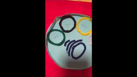 The Science Ambassador Scholarship!