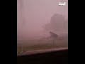 في ميشيغان رياح عاتية وترمبولين طائر