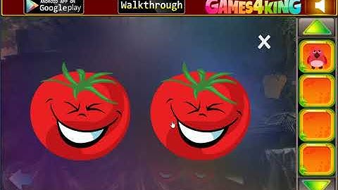 G4K Skating Tortoise Escape Game Walkthrough