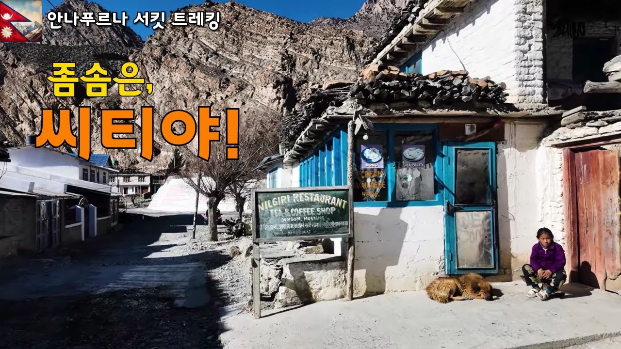 횡단보도가 있다고? 좀솜은 씨티야! [Annapurna Circuit · 16]