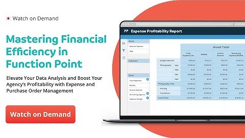Webinar: Mastering Financial Efficiency in Function Point