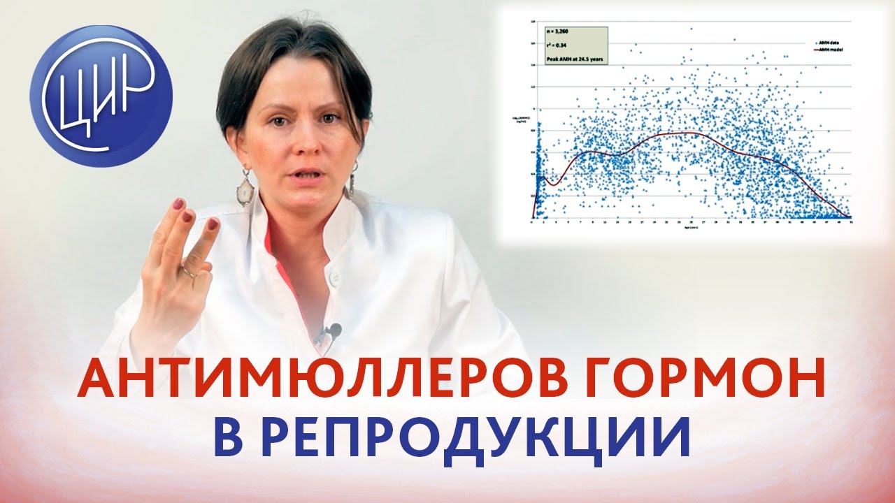 Антимюллеров гормон (АМГ) в репродукции. Печёрина Е.Ю. - YouTube