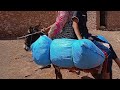 ركوب مزذوج على الحمار أنا اوأمين ولاد خويا