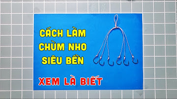 Hướng Dẫn Làm Chùm Nho Câu Cá Bằng Dây Siêu Bền Cho Người Mới | Chung Nguyễn Fishing