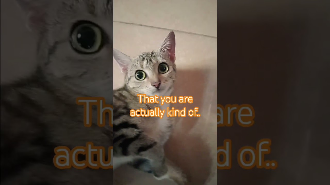 send this to your best friend 🧡 