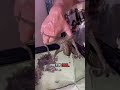Petting my octopus