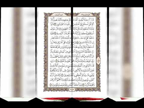 القلب يبكي دون أن يتكلما 