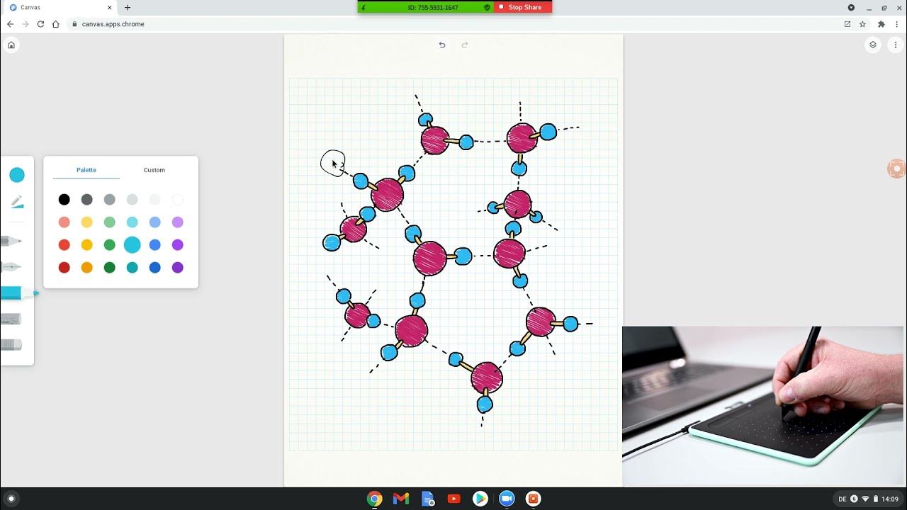 Start using Zoom with Intuos and Chrome YouTube