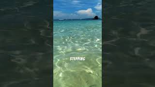  San Blas Islands Paradise Stunning Beaches Culture Adventure Hidden Gem Of Panama