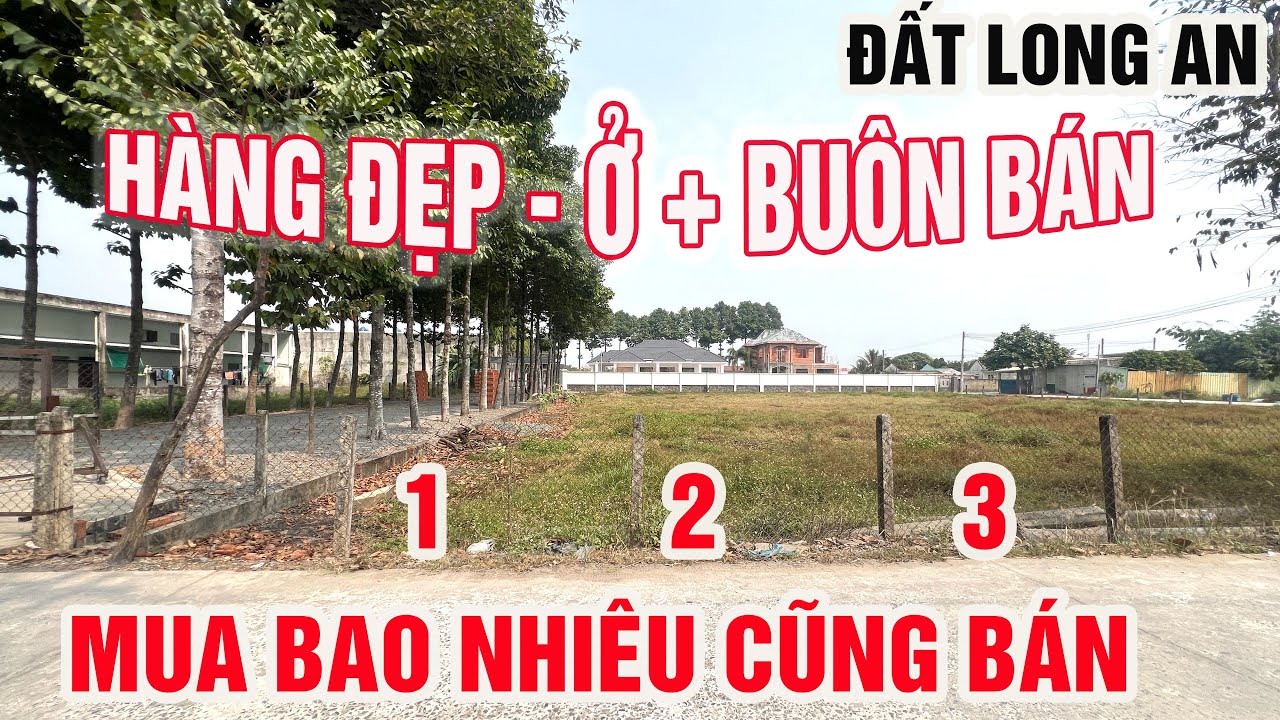 BÁN ĐẤT LONG AN THÔNG TL824 SANG TL9 , VỊ TRỊ SIÊU ĐẸP GẦN HÓC MÔN | Hằng Bán Đất