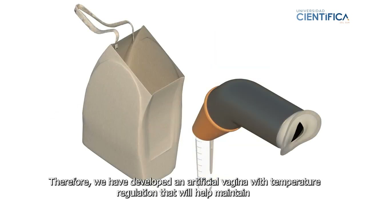 Camelid Artificial Vagina, an invention presented at the KIWIE 2024 | Universidad Científica del Sur