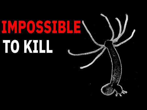 Nothing About The Hydra Is Normal… Here's Why